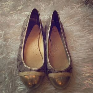 Gold Coach Flats
